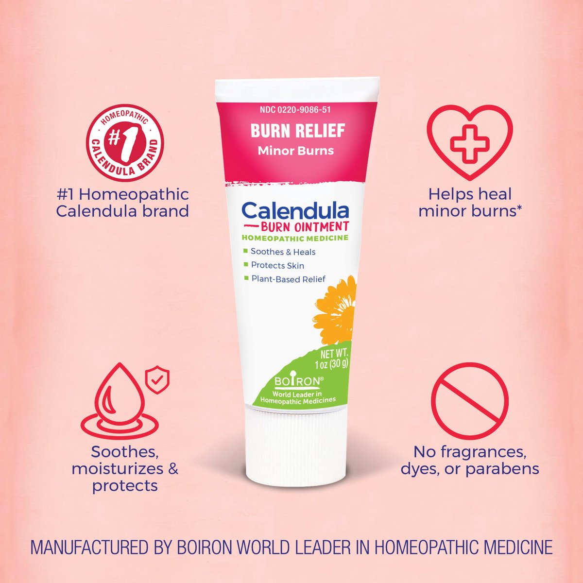 Boiron Calendula Brandsalbe – Linderung bei leichten Verbrennungen durch Kochen, Reibung oder Sonnenbrand – 28 g