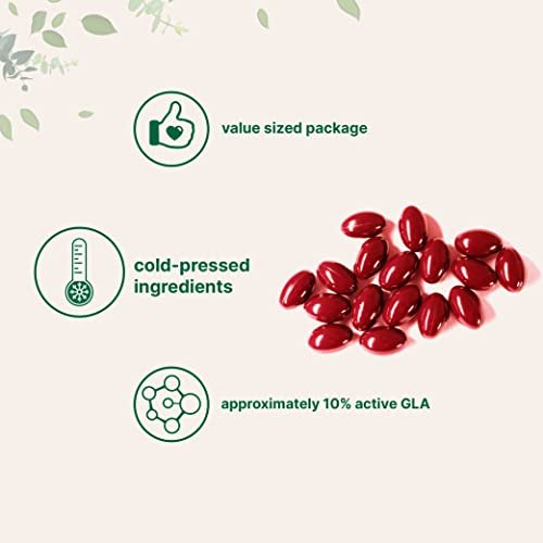 Nachtkerzenöl 1300 mg pro Portion, 240 Weichkapseln | Angereichert mit 40 mg Traubensilberkerzen-Extrakt, kaltgepresst – 10 % aktive GLA, nicht-GVO, glutenfrei, leicht zu schlucken