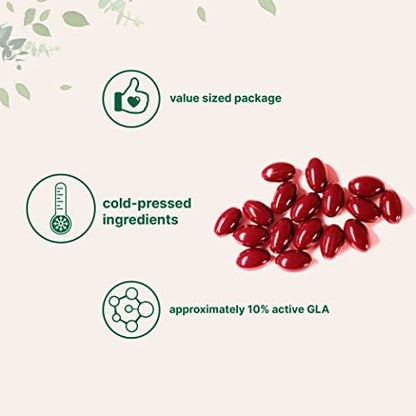 Nachtkerzenöl 1300 mg pro Portion, 240 Weichkapseln | Angereichert mit 40 mg Traubensilberkerzen-Extrakt, kaltgepresst – 10 % aktive GLA, nicht-GVO, glutenfrei, leicht zu schlucken