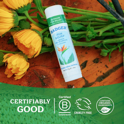Badger Bug Bite Itch Relief Stick – Natürliche & organische Anti-Juckreiz-Creme für Insektenstiche, Ausschläge & Giftefeu – Schnelle Linderung nach dem Stich – Wirkt großartig, riecht großartig, einfach zu verwenden – 0,6 oz