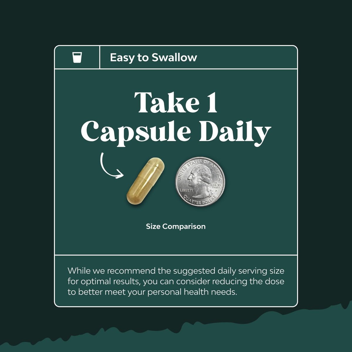 Leber Unterstützung Mariendistel Komplex mit Löwenzahnwurzel und Artischockenextrakt – 60 Kapseln zur Leberreinigung und Entgiftung