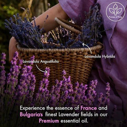 Majestic Pure Lavendelöl 100% rein & natürlich – 30 ml mit Glas-Dropper – ideal für Diffuser, Aromatherapie, Seifen- und Kerzenherstellung