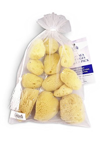 Constantia Beauty® Natürliche Sea Silk Schwämme 12er-Pack, wie Wattebällchen, Kosmetikqualität, Make-up-Auftrag, Verblenden & Entfernen, Gesichts- & Augenreinigung, Größe 9 Stk. 1,5-2,5 Zoll, 3 Stk. 2,5-3 Zoll, wiederverwendbare Tasche