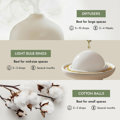 Claire Burke Original Duftöl – Reine ätherische Öle für Diffuser und Duftwärmer – Home Essentials für Potpourri & Aromatherapie, 0,5 fl oz