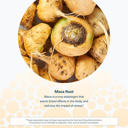 Youtheory Maca-Wurzel für Frauen – Vegane Energie- & Wechseljahre-Unterstützung mit peruanischem Ginseng – Premium-Nahrungsergänzung für Frauen – Laktose-, Soja- & Glutenfrei – 120 vegane Kapseln