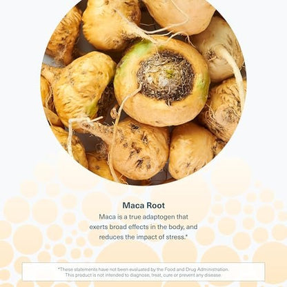 Youtheory Maca-Wurzel für Frauen – Vegane Energie- & Wechseljahre-Unterstützung mit peruanischem Ginseng – Premium-Nahrungsergänzung für Frauen – Laktose-, Soja- & Glutenfrei – 120 vegane Kapseln