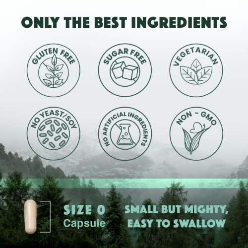Natural Rhythm Triple Calm Magnesium Komplex – 120 Kapseln, chelatiertes Magnesiumglycinat, -taurat & -malat, hoch bioverfügbar, für Schlaf, Stress, Muskeln & Herz, Nicht-GVO, Vegan
