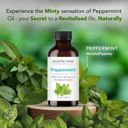 Majestic Pure Pfefferminzöl 100% rein und natürlich – 30 ml mit Glas-Dropper für Diffuser, Aromatherapie, Seifen- und Kerzenherstellung