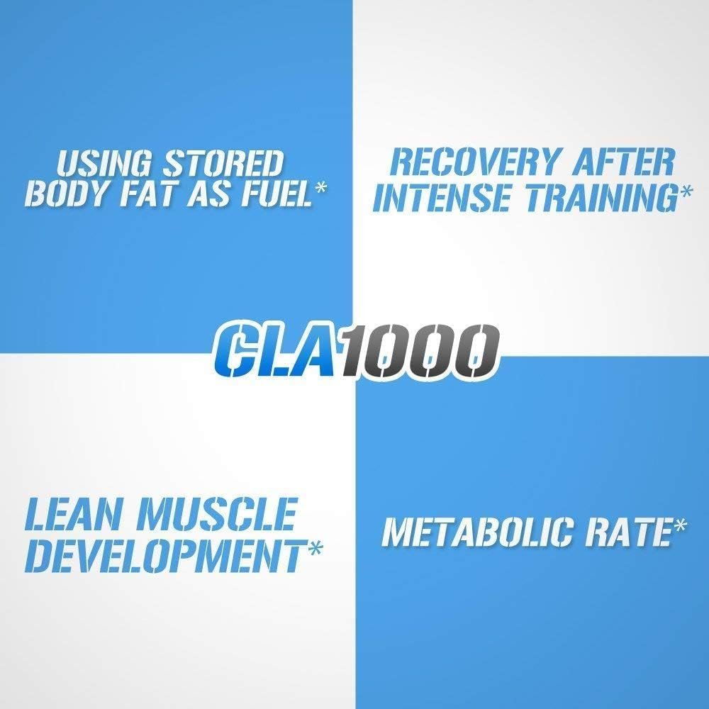 EVLUTION CLA 1000mg – Konjugierte Linolsäure Kapseln zur Unterstützung von Gewichtsverlust, Fettverbrennung und Muskelaufbau – Stimulanzienfrei, auf Safflower-Basis – 180 Kapseln