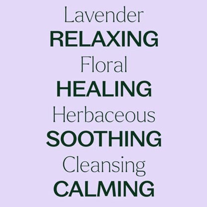 Plant Therapy Lavendel Öl 100% Rein, Fertig Verdünnter Roll-On, Aromatherapie, Therapeutische Qualität 10 ml