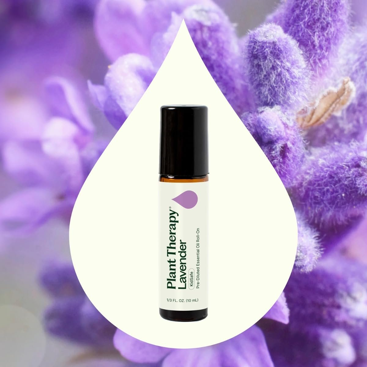 Plant Therapy Lavendel Öl 100% Rein, Fertig Verdünnter Roll-On, Aromatherapie, Therapeutische Qualität 10 ml
