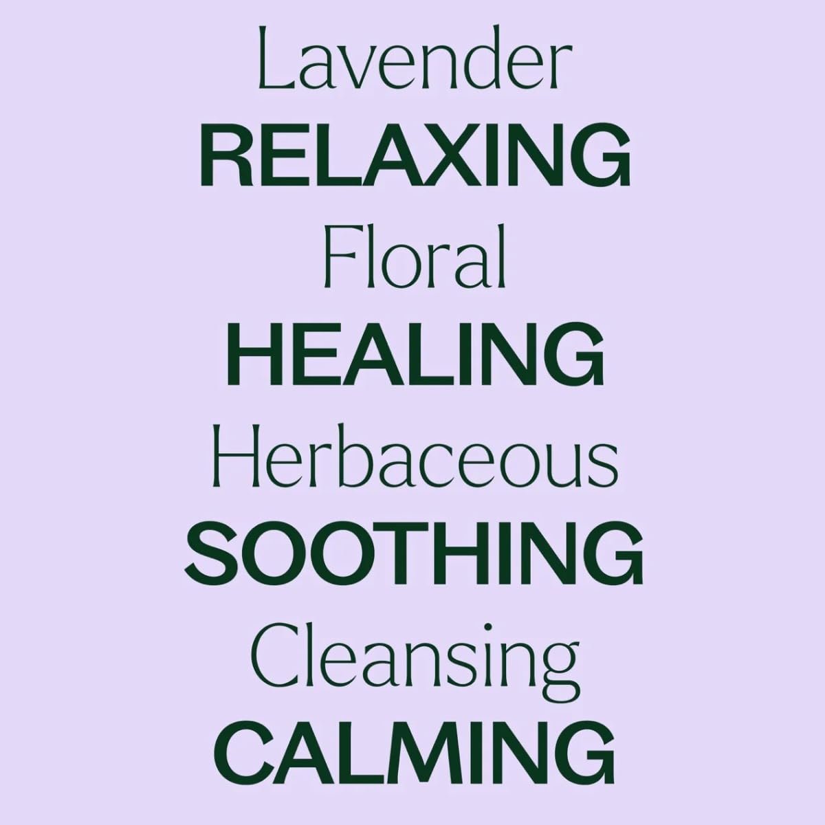 Plant Therapy Lavendel Öl 100% Rein, Fertig Verdünnter Roll-On, Aromatherapie, Therapeutische Qualität 10 ml