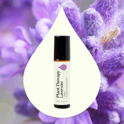Plant Therapy Lavendel Öl 100% Rein, Fertig Verdünnter Roll-On, Aromatherapie, Therapeutische Qualität 10 ml