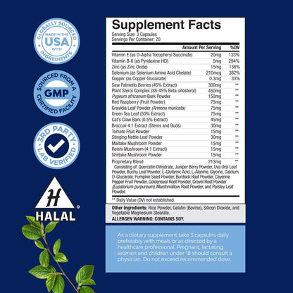 Herbal Saw Palmetto Männliches Nahrungsergänzungsmittel – Potenter Pygeum- und Sägepalmenextrakt mit Beta-Sitosterol & Grüntee für Männer zur Unterstützung der Harnwege & bei häufigem Harndrang – 60 Kapseln