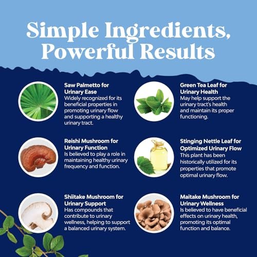 Herbal Saw Palmetto Männliches Nahrungsergänzungsmittel – Potenter Pygeum- und Sägepalmenextrakt mit Beta-Sitosterol & Grüntee für Männer zur Unterstützung der Harnwege & bei häufigem Harndrang – 60 Kapseln