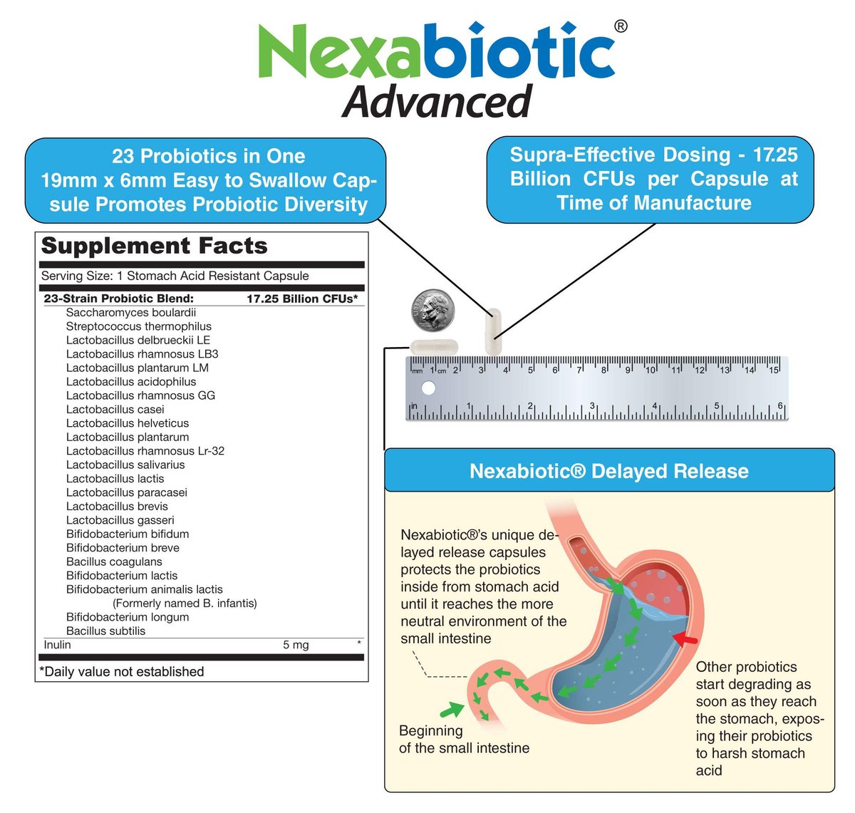 DrFormulas Nexabiotic 23 Multi Probiotikum für Frauen und Männer - Dr. formuliert mit Lactobacillus Acidophilus, Bifidobacterium Infantis, Saccharomyces Boulardii, 17,25 Milliarden KBE