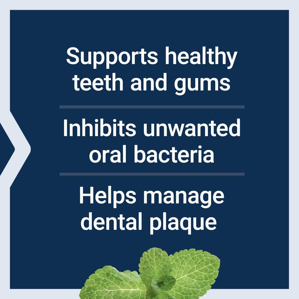 Life Extension FLORASSIST® Probiotische Mundhygiene – Lutschtabletten mit BLIS M18™ für Zähne, Zahnfleisch, pH-Wert und Immununterstützung, 30 Stück