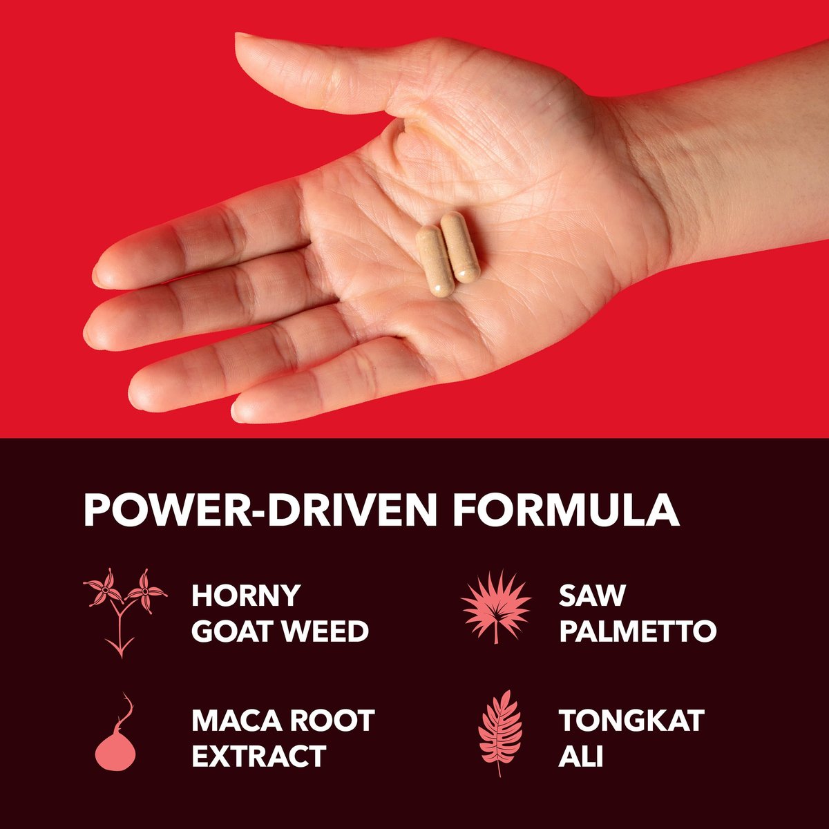 Horny Goat Weed Kapseln für Männer und Frauen – Extra starke Leistungs- und Energieunterstützung mit Tongkat Ali, Muira Puama und Sägepalme – 1 Monatsvorrat pflanzliches Nahrungsergänzungsmittel für erhöhte Ausdauer