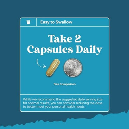Nootropisches Gehirn-Supplement für Gedächtnis und Fokus - Vitamine für geistige Unterstützung mit Bacopa Monnieri, Vitamin A, B6, Riboflavin, Niacin, Thiamin & Folsäure - Kognitiver Komplex - 60 Kapseln