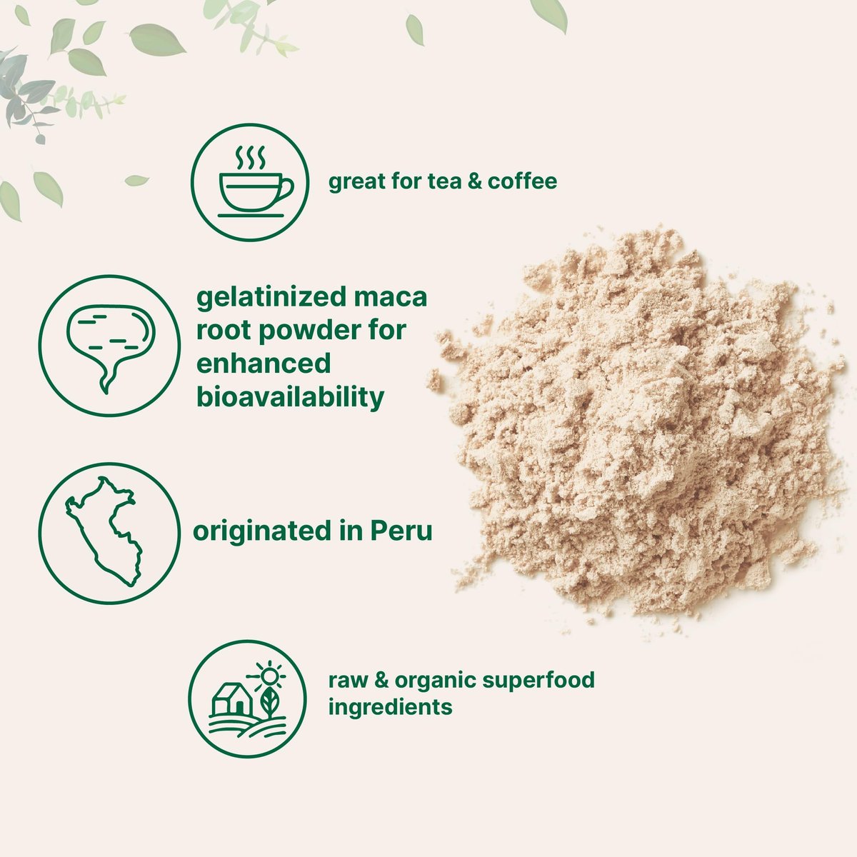 Micro Ingredients Bio Maca-Pulver, 2 Pfund, Gelatinisiert für bessere Aufnahme, Reich an Antioxidantien, Ohne GVO, Vegan und aus Peru