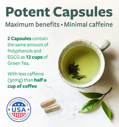 EGCG Grüntee-Extrakt Kapseln - Hochdosiert mit Polyphenolen, Catechinen und EGCG - 500 mg pro Kapsel - Non-GMO & hergestellt in den USA (2-Monats-Vorrat)