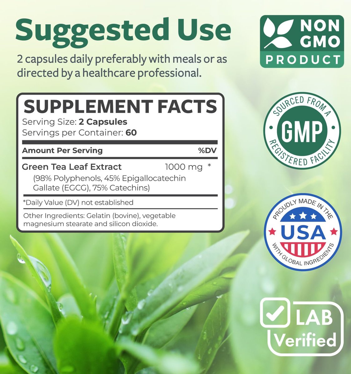 EGCG Grüntee-Extrakt Kapseln - Hochdosiert mit Polyphenolen, Catechinen und EGCG - 500 mg pro Kapsel - Non-GMO & hergestellt in den USA (2-Monats-Vorrat)