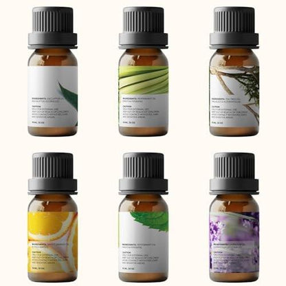 Pure Aroma Bio-Öle Set – Top 6 Aromatherapie Öle Geschenkset, 6 x 10 ml (Eukalyptus, Lavendel, Zitronengras, Süße Orange, Pfefferminze, Teebaum)