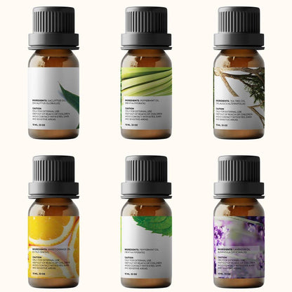 Pure Aroma Bio-Öle Set – Top 6 Aromatherapie Öle Geschenkset, 6 x 10 ml (Eukalyptus, Lavendel, Zitronengras, Süße Orange, Pfefferminze, Teebaum)