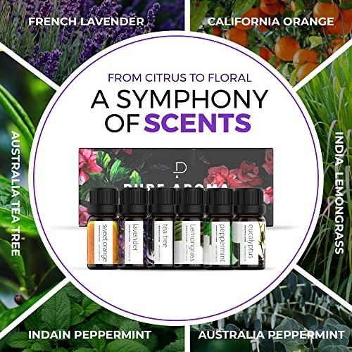 Pure Aroma Bio-Öle Set – Top 6 Aromatherapie Öle Geschenkset, 6 x 10 ml (Eukalyptus, Lavendel, Zitronengras, Süße Orange, Pfefferminze, Teebaum)