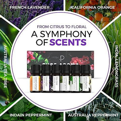 Pure Aroma Bio-Öle Set – Top 6 Aromatherapie Öle Geschenkset, 6 x 10 ml (Eukalyptus, Lavendel, Zitronengras, Süße Orange, Pfefferminze, Teebaum)