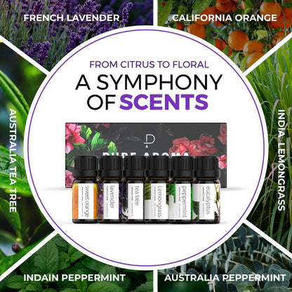 Pure Aroma Bio-Öle Set – Top 6 Aromatherapie Öle Geschenkset, 6 x 10 ml (Eukalyptus, Lavendel, Zitronengras, Süße Orange, Pfefferminze, Teebaum)