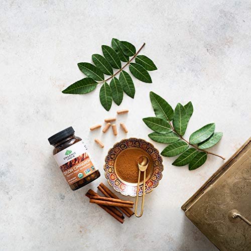 ORGANIC INDIA Ceylon Zimt Kräuterergänzung - Vegan, Glutenfrei, Koscher, USDA Bio, Nicht-GVO - 90 Kapseln