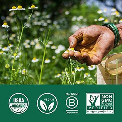 ORGANIC INDIA Ceylon Zimt Kräuterergänzung - Vegan, Glutenfrei, Koscher, USDA Bio, Nicht-GVO - 90 Kapseln