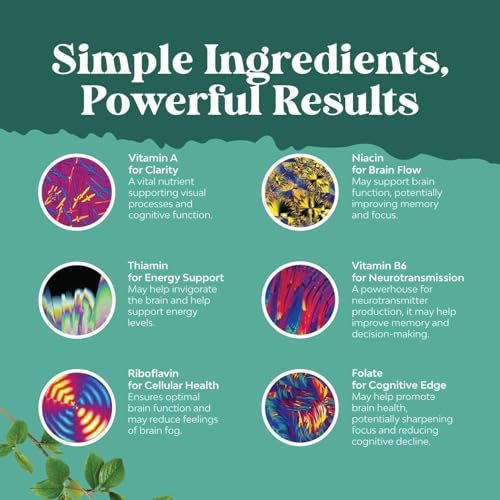 Natures Craft DMAE Nootropikum – Nahrungsergänzungsmittel für Gedächtnis, Fokus und geistige Klarheit – 60 Kapseln