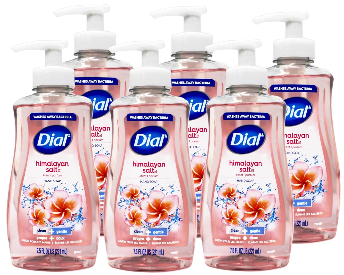 Dial Himalaya Rosa Salz & Wasserlilie Handseife mit Feuchtigkeitsspender 7,5 oz (6er-Pack)