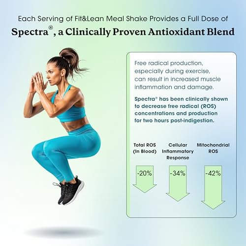 Fit & Lean Meal Shake – Mahlzeitenersatz zur Fettverbrennung mit Protein, Ballaststoffen, Probiotika und Bio-Obst & -Gemüse, Cookies & Cream, 454 g, 10 Portionen