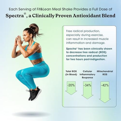 Fit & Lean Meal Shake – Mahlzeitenersatz zur Fettverbrennung mit Protein, Ballaststoffen, Probiotika und Bio-Obst & -Gemüse, Cookies & Cream, 454 g, 10 Portionen