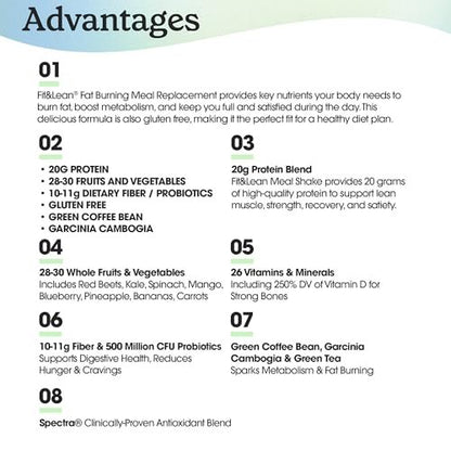 Fit & Lean Meal Shake – Mahlzeitenersatz zur Fettverbrennung mit Protein, Ballaststoffen, Probiotika und Bio-Obst & -Gemüse, Cookies & Cream, 454 g, 10 Portionen
