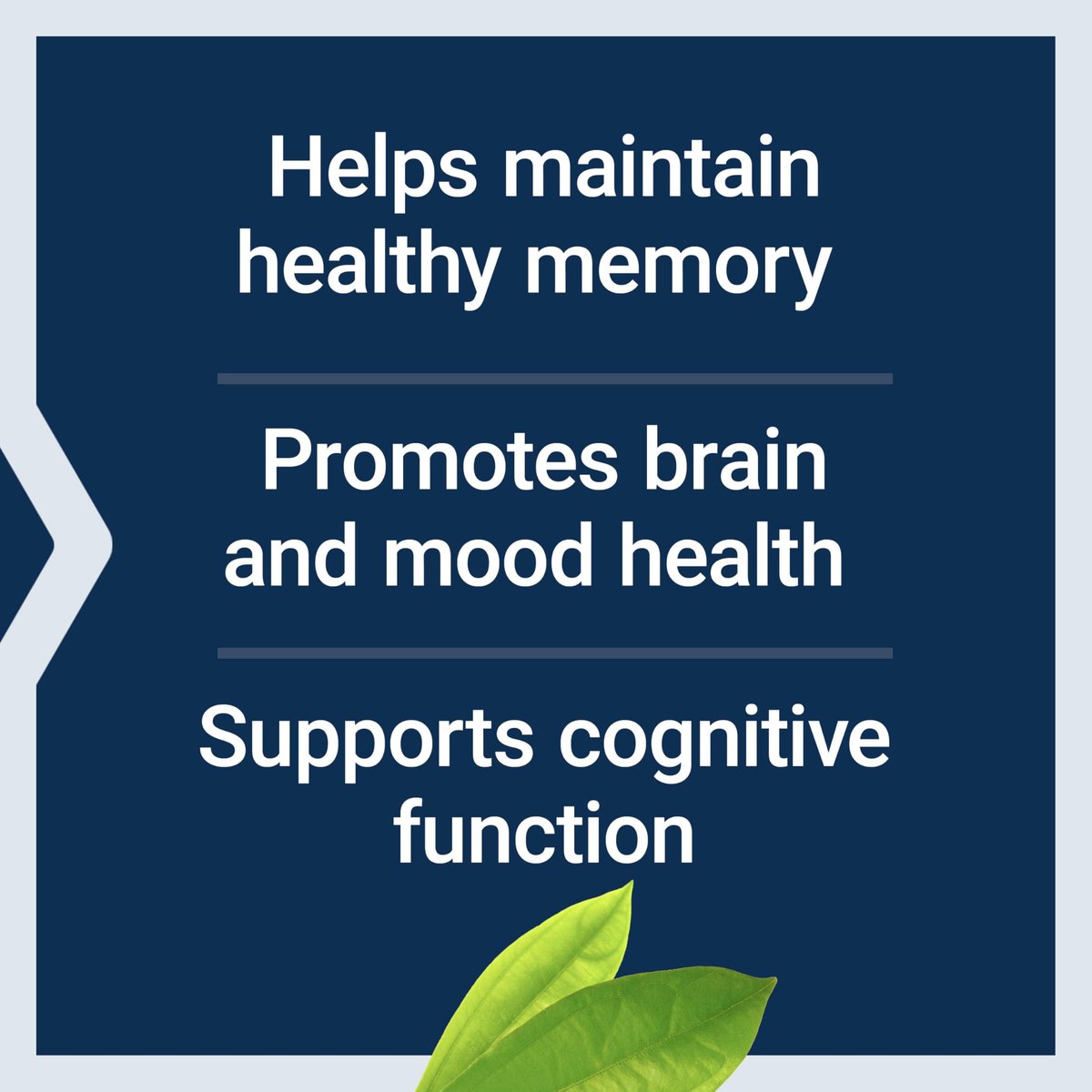 Life Extension Memory Protect – Kognitive Gesundheit mit Lithium und Colostrinin, 36 Kapseln