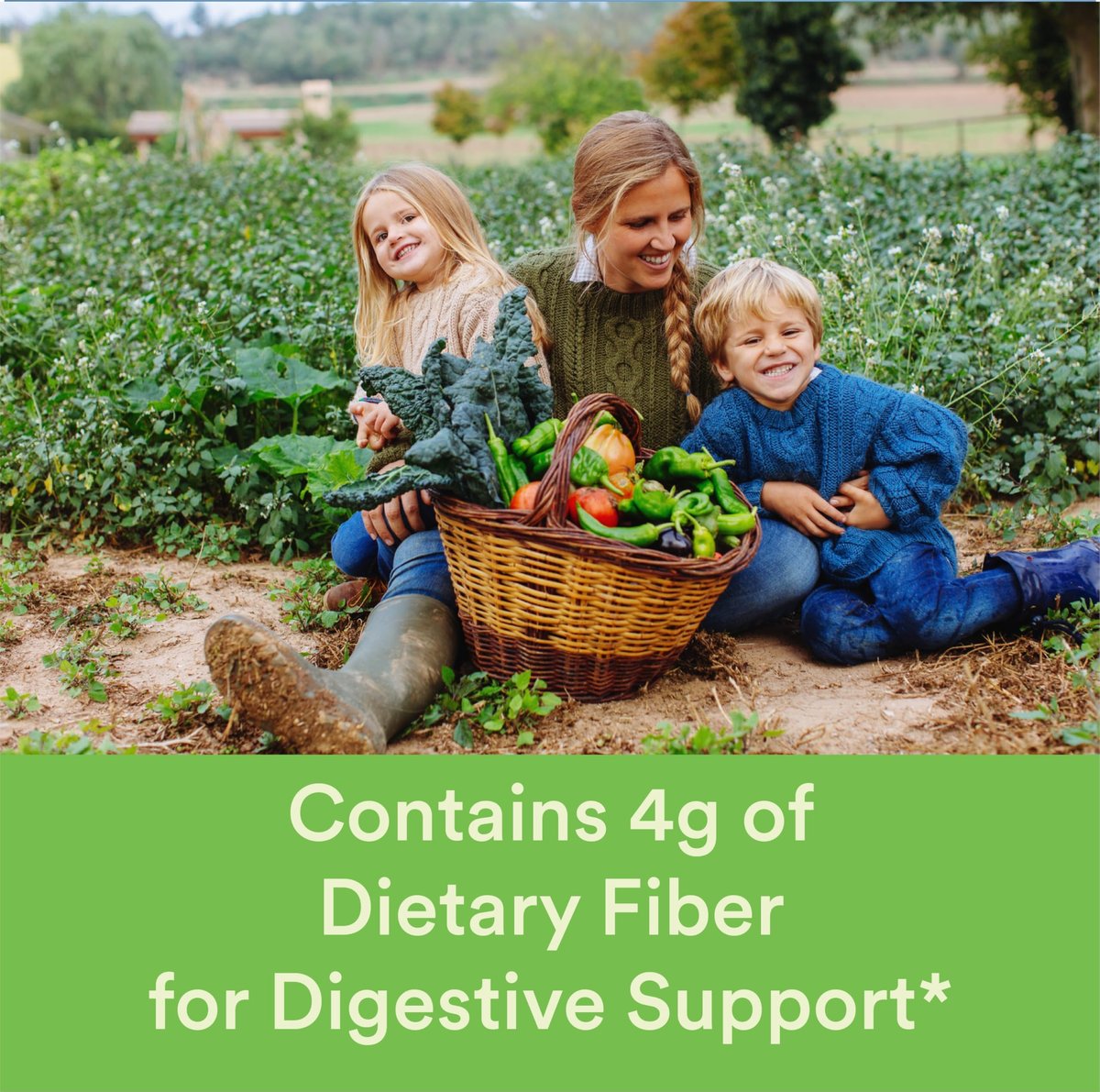 SmartyPants Kids Multivitamin Gummies mit Ballaststoffen - Vitamin D3, C, B12, B6, A, Zink, Biotin, Inositol, Fruchtgummis, drei Fruchtgeschmacksrichtungen, 90 Stück (22 Tage Vorrat)