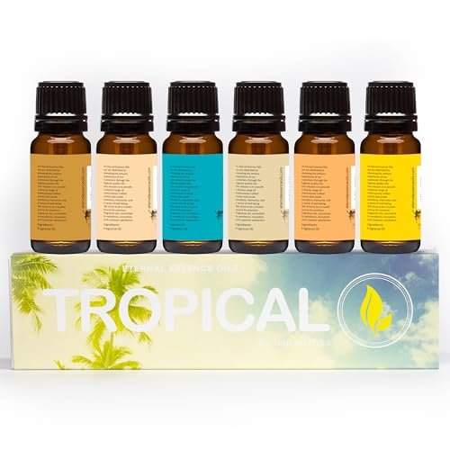 Eternal Essence Oils Date Night Set mit 6 Premium Duftölen – PS I Love You, Amber Romance, Secret Crush, Chocolate Fondue, Strawberry Champagne und Love Spell – 10 ml