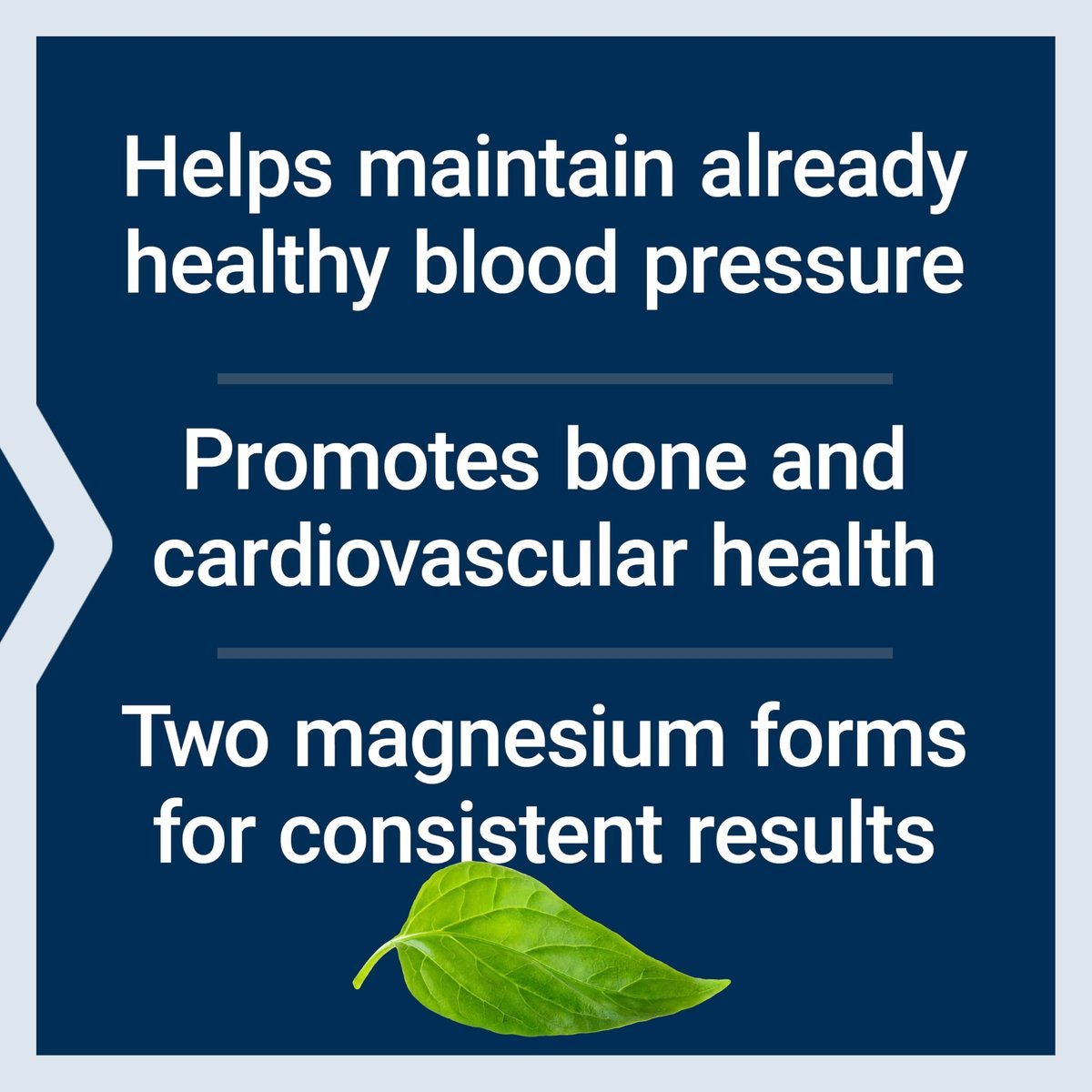 Life Extension Extend-Release Magnesium – verlängerte Herz- und Knochenunterstützung, Herz-Kreislauf- und Blutdruckgesundheit, bioverfügbare Formel, glutenfrei, nicht-GVO, vegetarisch, 60 Kapseln