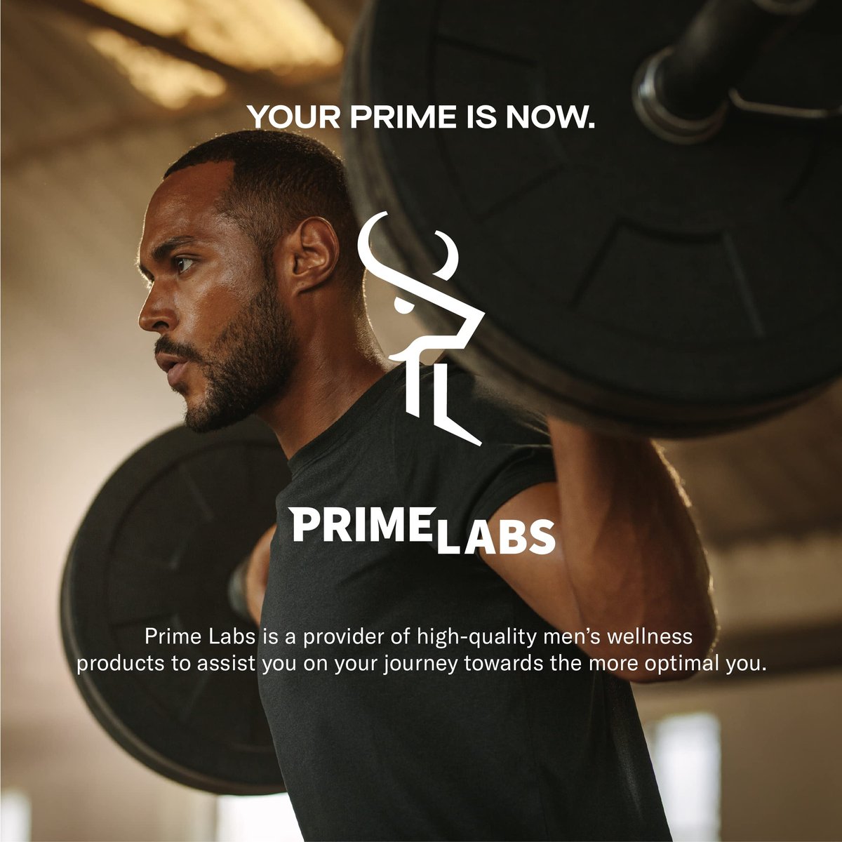 Prime Labs Testosteron-Booster für Männer – Steigert Ausdauer, Energie und Kraft – 60 Kapseln