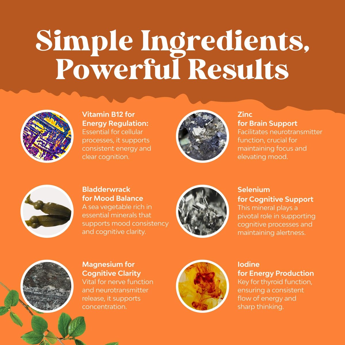 Natures Craft Kräuter-Komplex zur Schilddrüsenunterstützung - Hochwirksames Kelp-Jod-Präparat mit L-Tyrosin, Blasentang, Selen & Ashwagandha für Hormonbalance - Stimmungs- und Energie-Diätpillen - 60 Stück