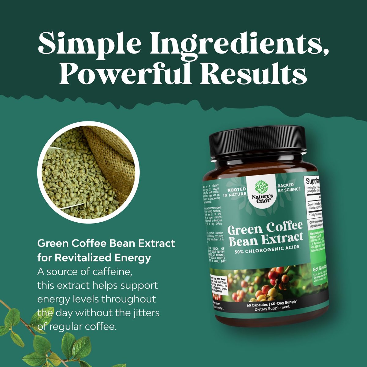 Natures Craft Grüner Kaffee-Extrakt – Chlorogensäure-Kapseln zur Unterstützung des Stoffwechsels und Gewichtsmanagements – 60 Kapseln