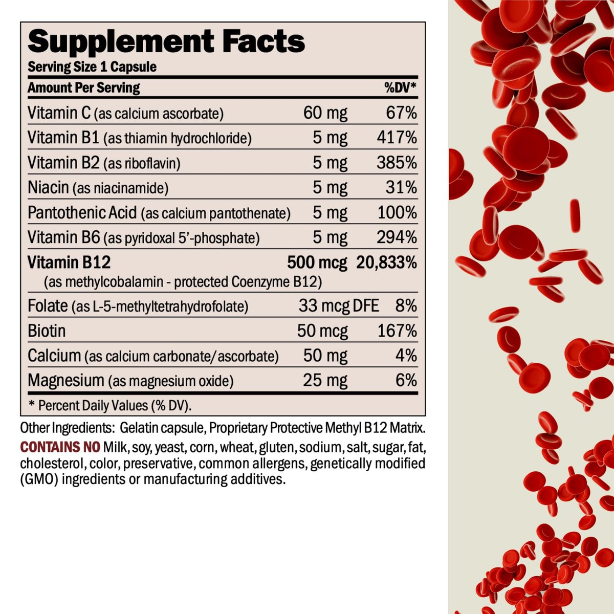 ANDREW LESSMAN Vitamin B12 500 60 Kapseln – Absorptionsgeschütztes Methylcobalamin (Natürliches Coenzym B12), Essentiell für Energie und Stressunterstützung, Plus B-Komplex, Leicht zu Schluckende Kapseln