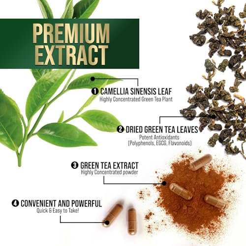 Grüner Tee Extrakt Kapseln - 3X Stärke Grüner Tee Extrakt 1000 mg pro Portion mit 45% EGCG & 98% Polyphenolen für natürliche Energie - Antioxidantien Kräuter-Herzunterstützung Supplement - 60 Kapseln