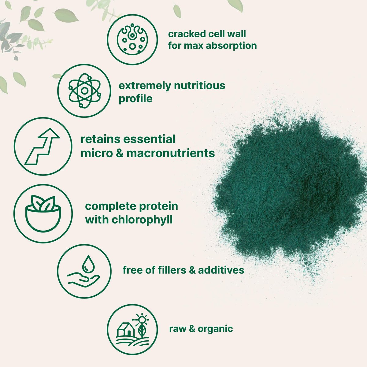 Micro Ingredients Bio Chlorella Pulver, 567 g | Aufgebrochene Zellwände für vollständige Absorption | Rohes Superfood, reich an Protein & Vitaminen | Non-GMO, Vegan, Nicht bestrahlt