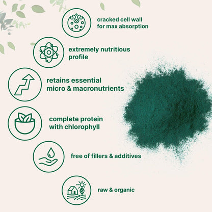 Micro Ingredients Bio Chlorella Pulver, 567 g | Aufgebrochene Zellwände für vollständige Absorption | Rohes Superfood, reich an Protein & Vitaminen | Non-GMO, Vegan, Nicht bestrahlt