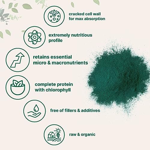 Micro Ingredients Bio Chlorella Pulver, 567 g | Aufgebrochene Zellwände für vollständige Absorption | Rohes Superfood, reich an Protein & Vitaminen | Non-GMO, Vegan, Nicht bestrahlt